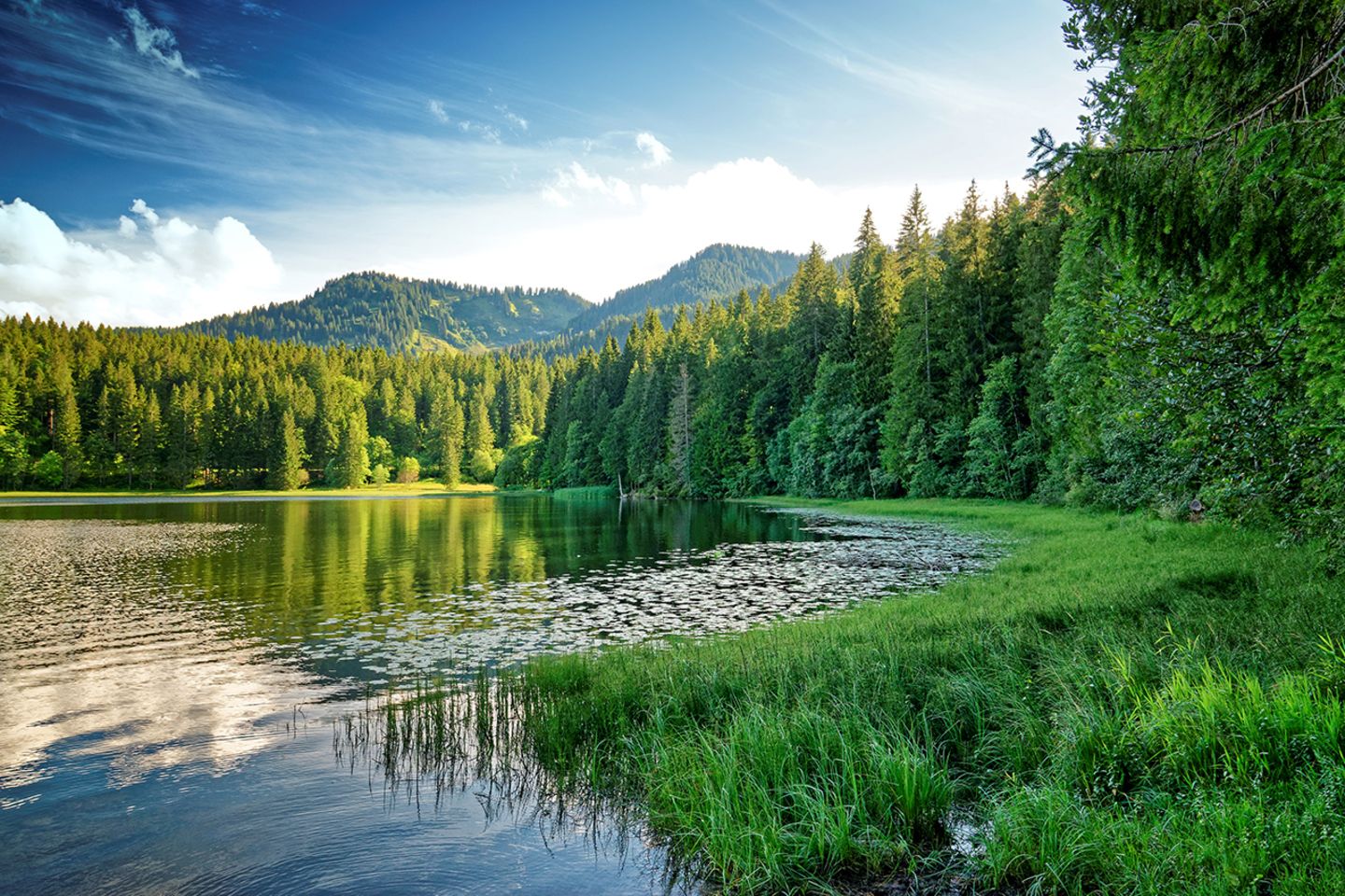 GEO LESERFOTO: Die besten Leserfotos: August 2020 - Bild 8