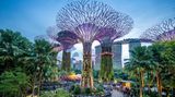 Gardens by the Bay