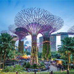 Gardens by the Bay