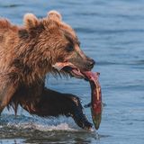 GEO LESERFOTO: Die besten Leserfotos: August 2020 - Bild 2