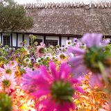 The Funen Village, Odense