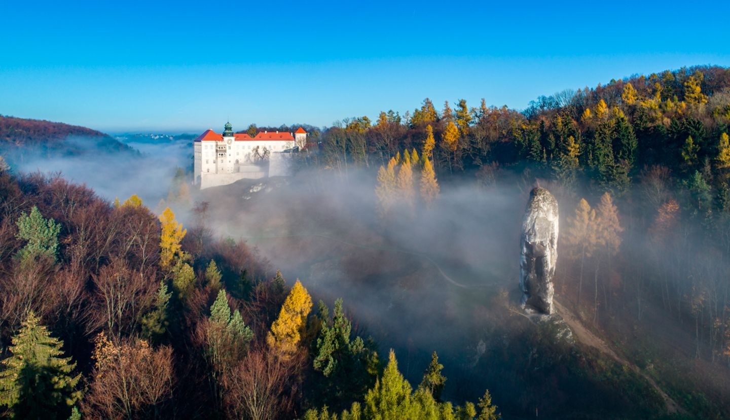 Kalksteinklippe Pieskowa Skala bei Krakau, Polen, mit isoliertem Felsen "Maczuga Herkuklesa"