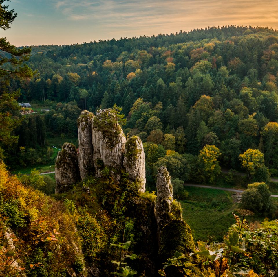 Rock "glove" im Ojcow Nationalpark