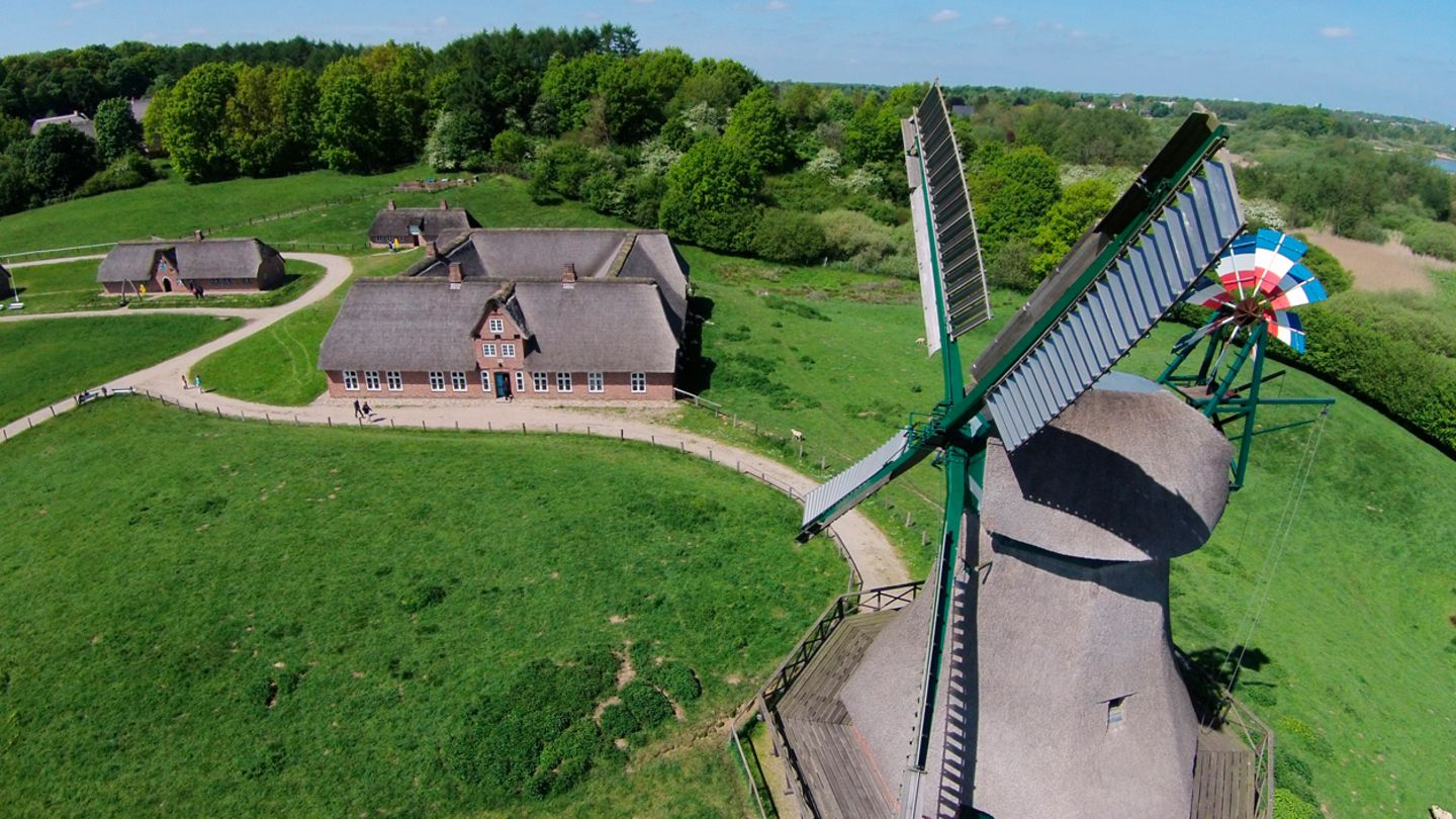 Frelichtmuseum Molfsee