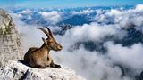 GEO LESERFOTO: Die besten Leserfotos: September 2020 - Bild 15