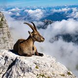 GEO LESERFOTO: Die besten Leserfotos: September 2020 - Bild 15