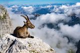 GEO LESERFOTO: Die besten Leserfotos: September 2020 - Bild 15