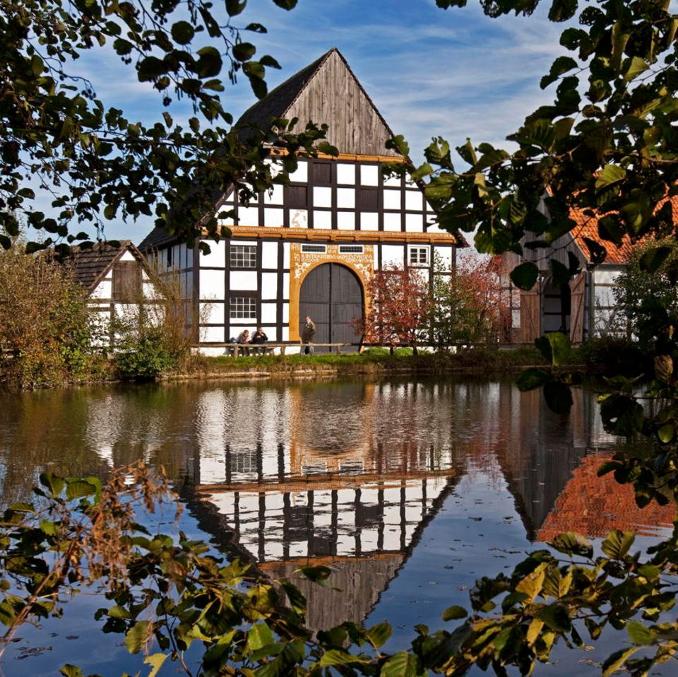 Detmold Museum