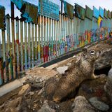 GDT ENJ 2020, Fritz Pölking Preis, Alejandro Prieto