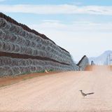 GDT ENJ 2020, Fritz Pölking Preis, Alejandro Prieto