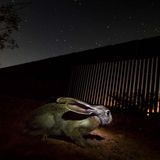 GDT ENJ 2020, Fritz Pölking Preis, Alejandro Prieto