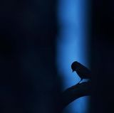 GDT ENJ 2020, Fritz Pölking Jugendpreis, Florian Smit