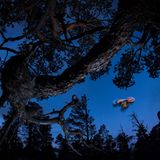 GDT ENJ 2020, Fritz Pölking Jugendpreis, Florian Smit