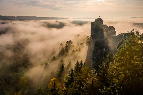Nationalpark Sächsische Schweiz