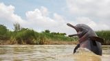 Ganesh Chowdhury/Nature inFocus Photograph of the Year