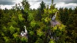 Dmitrii Viliunov/Drone Photo Awards 2020