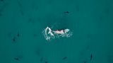 Tony Hewitt/Drone Photo Awards 2020