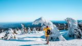 Harz im Schnee