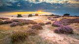 Nationalpark De Hoge Veluwe