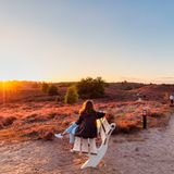 Nationalpark De Hoge Veluwe