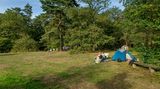 Nationalpark De Hoge Veluwe