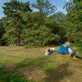 Nationalpark De Hoge Veluwe