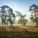 Nationalpark De Hoge Veluwe