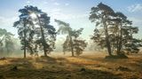 Nationalpark De Hoge Veluwe