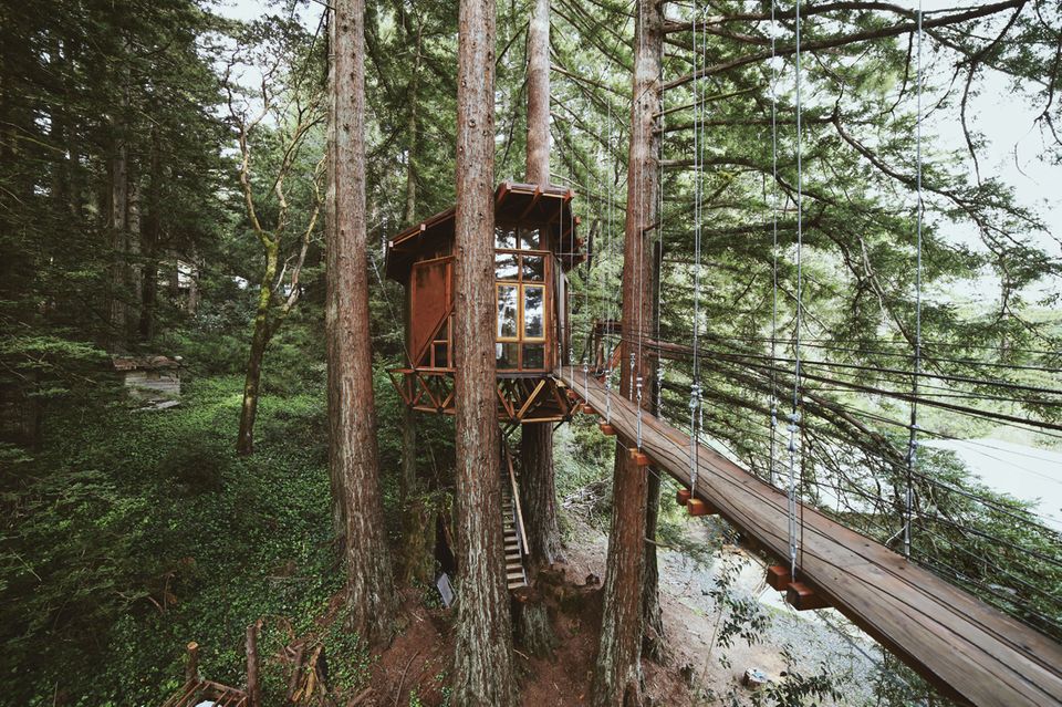 O2 Treehouse - [GEO]