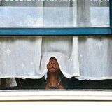 Ilana Rose//Mars Petcare Comedy Pet Photo Awards 2020