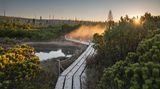 Deutscher Nationalpark: Der Bayerische Wald: wild, vielschichtig und schön - Bild 2