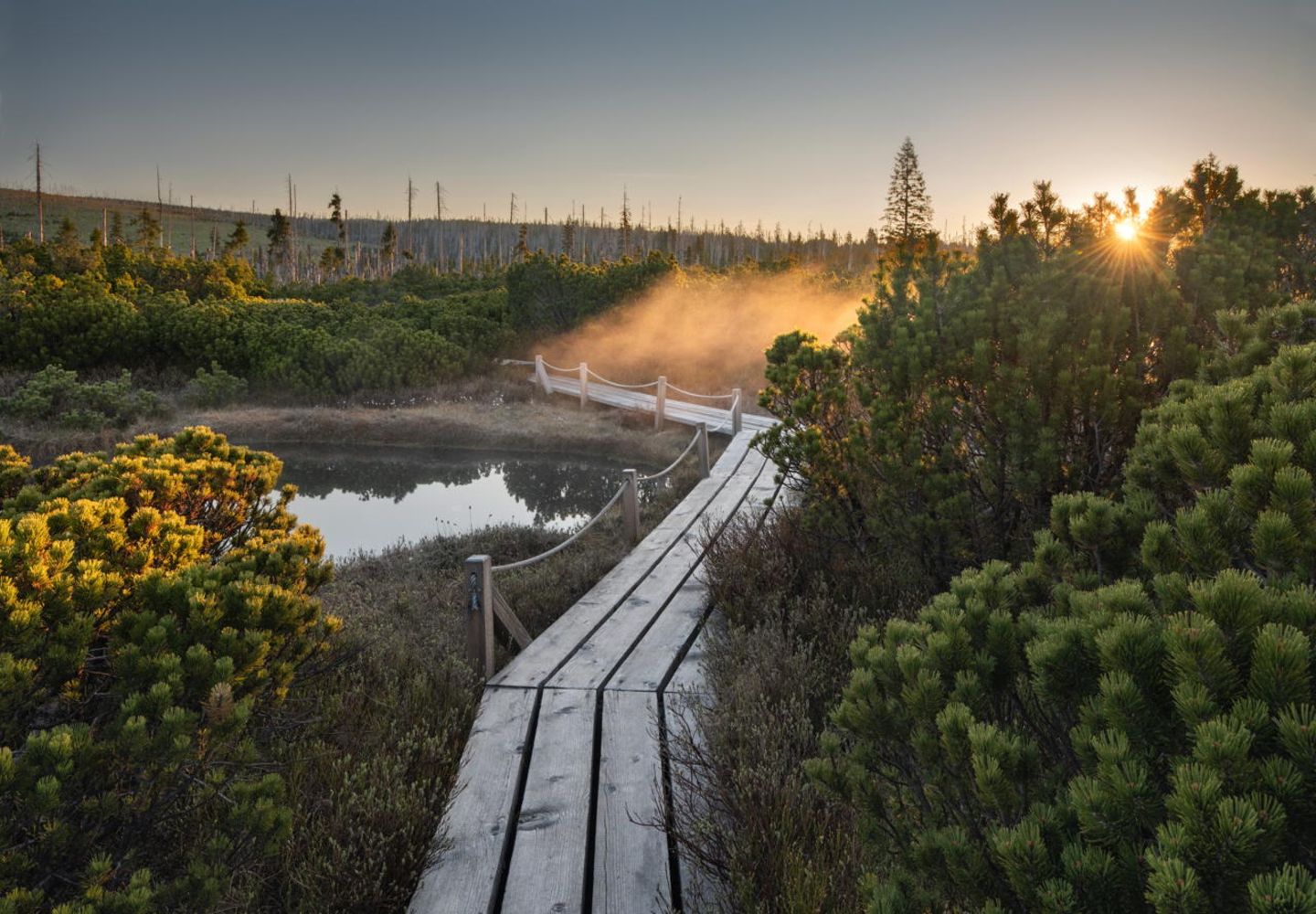 Deutscher Nationalpark: Der Bayerische Wald: wild, vielschichtig und schön - Bild 2