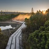 Deutscher Nationalpark: Der Bayerische Wald: wild, vielschichtig und schön - Bild 2