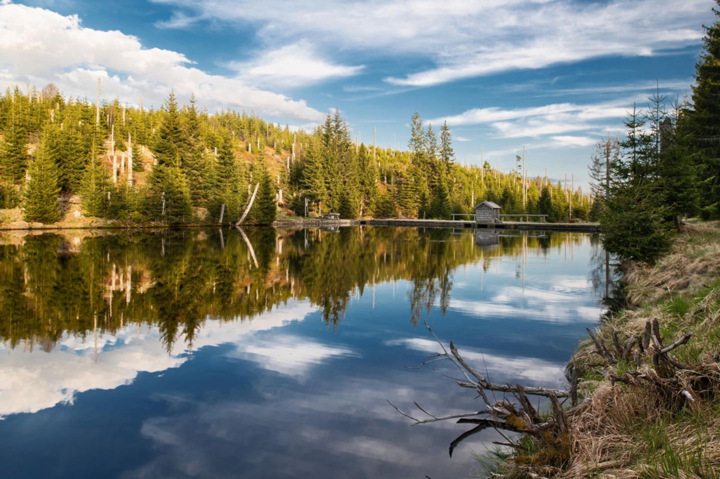 Deutscher Nationalpark: Der Bayerische Wald: wild, vielschichtig und schön - Bild 3