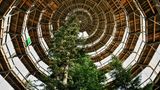 Deutscher Nationalpark: Der Bayerische Wald: wild, vielschichtig und schön - Bild 4