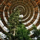 Deutscher Nationalpark: Der Bayerische Wald: wild, vielschichtig und schön - Bild 4