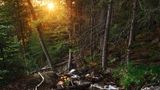 Deutscher Nationalpark: Der Bayerische Wald: wild, vielschichtig und schön - Bild 5