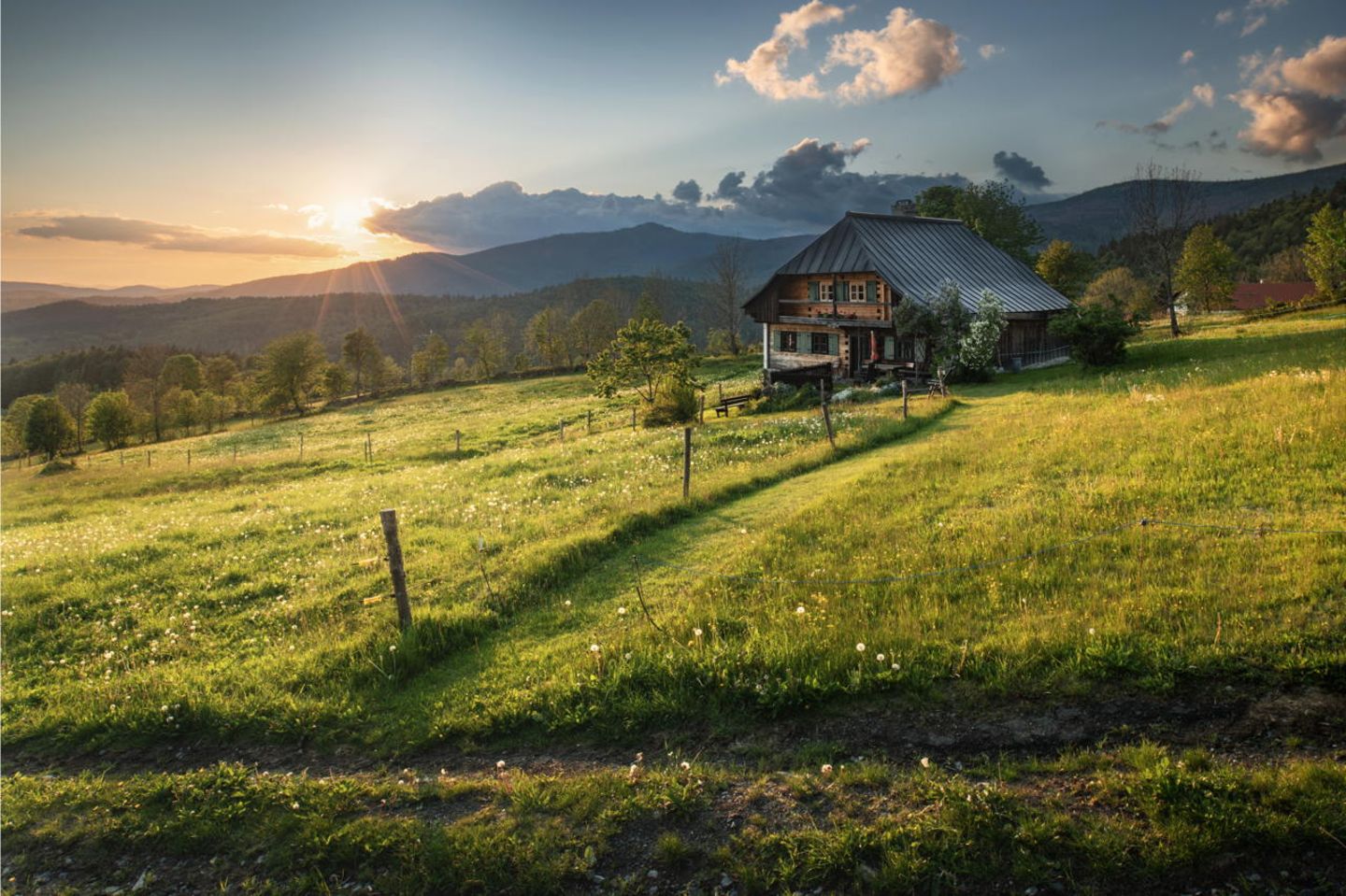 Deutscher Nationalpark: Der Bayerische Wald: wild, vielschichtig und schön - Bild 6