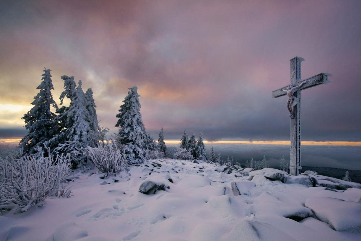 Deutscher Nationalpark: Der Bayerische Wald: wild, vielschichtig und schön - Bild 8