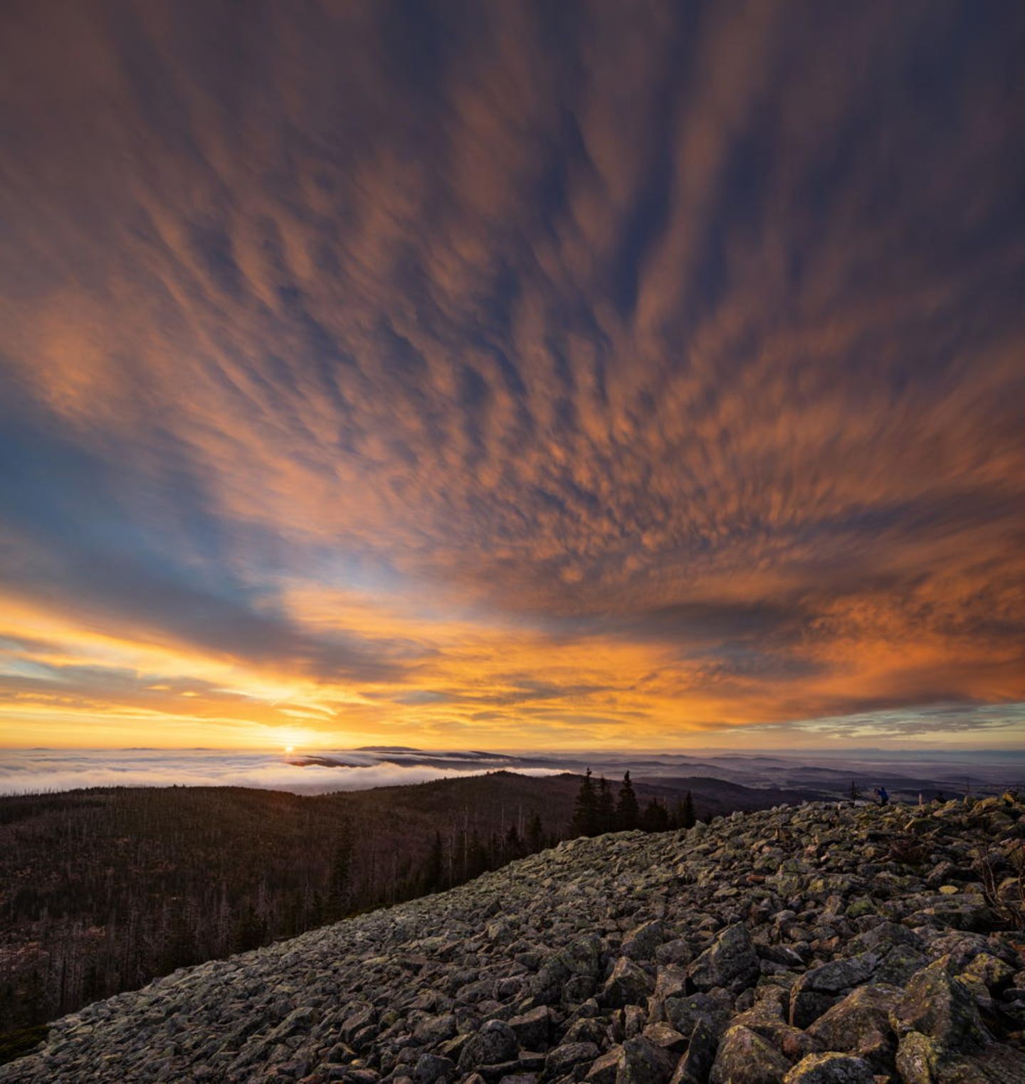 Deutscher Nationalpark: Der Bayerische Wald: wild, vielschichtig und schön - Bild 9