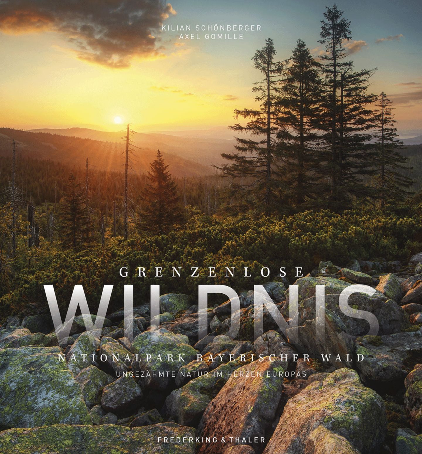 Deutscher Nationalpark: Der Bayerische Wald: wild, vielschichtig und schön - Bild 10