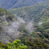 Aktion: Mitmachen und Bäume spenden