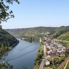 Wandern: In dem kleinen Weinort Hatzenport an der Mosel wird mit Weitsicht angebaut