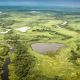 Das Pantanal von oben