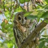 GEO LESERFOTO: Die besten Leserfotos: Oktober 2020 - Bild 20