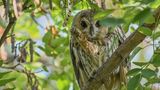 GEO LESERFOTO: Die besten Leserfotos: Oktober 2020 - Bild 20