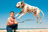 Walter Chandoha: Allem Erfolg zum Trotz blieb Chandoha sich und seinem Stil treu. Er fotografierte die Tiere, die er liebte, mit Menschen, die er liebte – besonders häufig mit seinen sechs Kindern. Wie auf diesem Bild seinen Sohn Enrico mit einem Dalmatiner am Strand von Long Island 1958