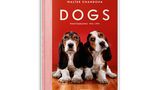 DOGS - Walter Chandoha