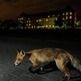 Heart of the Barracks