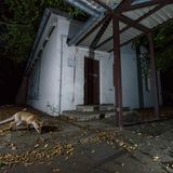 Heart of the Barracks